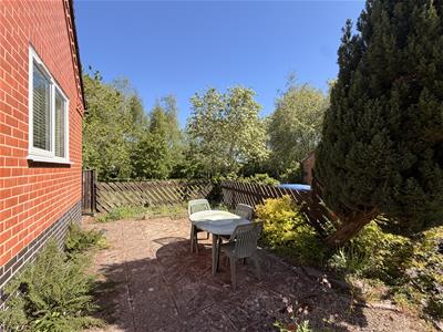 Picture 29